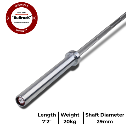 The Sabertooth Bar - Stainless Steel (20kg, 29mm) - Remastered